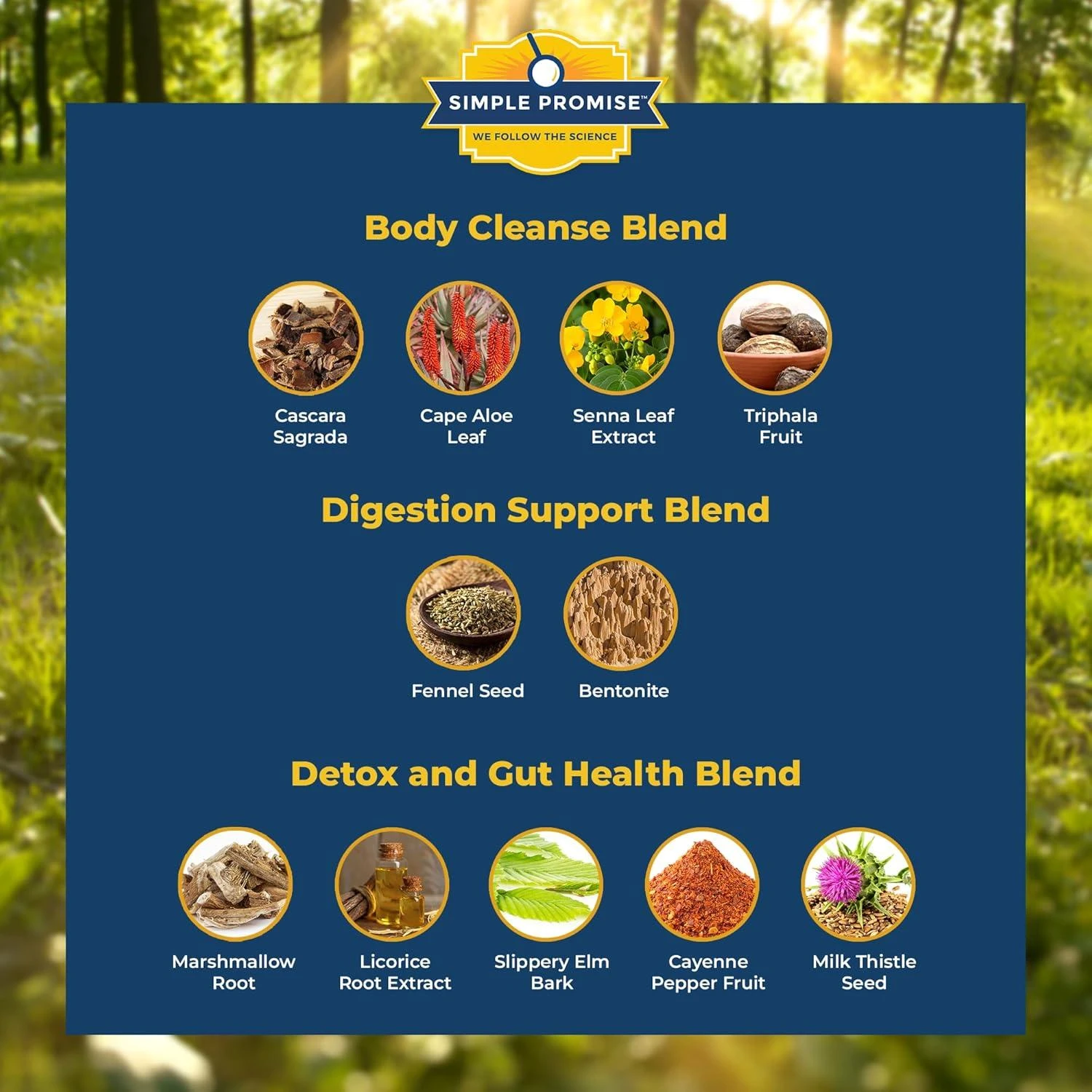 BellyFlush ingredients